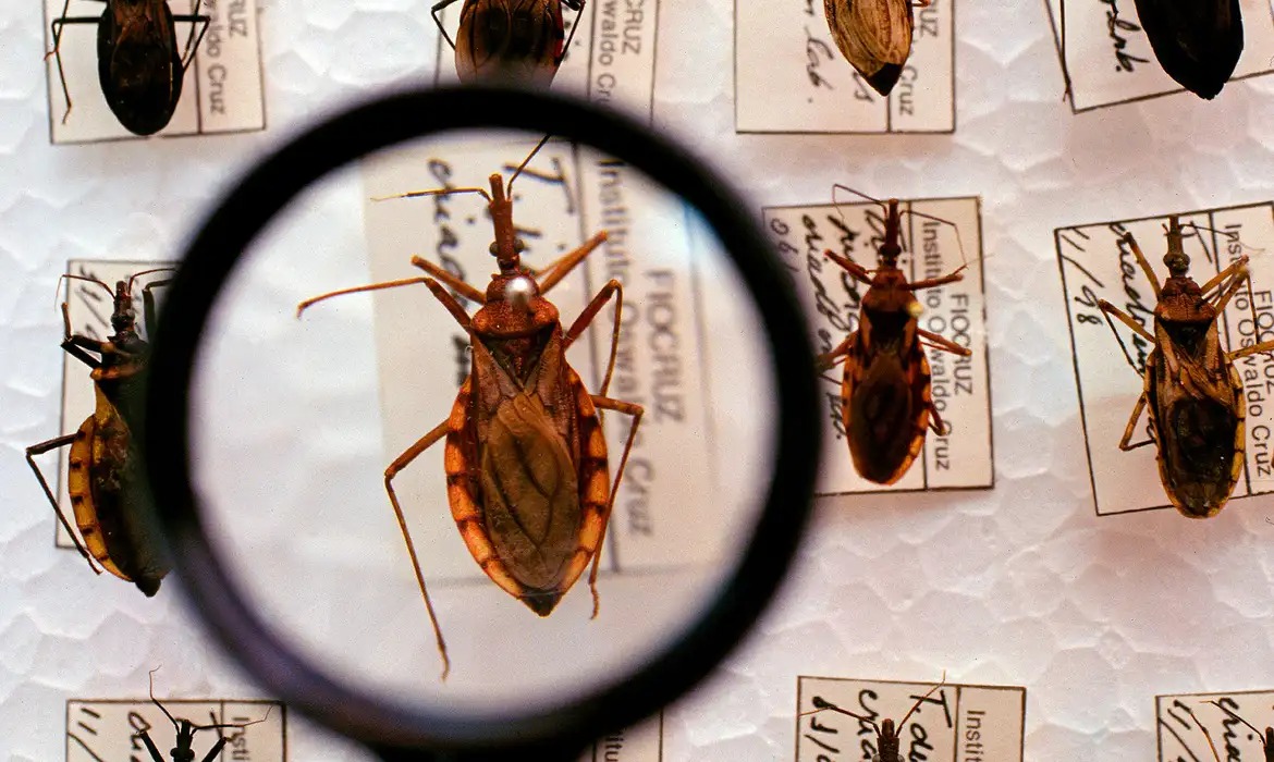 Ministério anuncia verba milionária para combate à doença de Chagas no Piauí