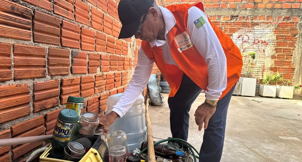 Dengue: Piauí melhora resultados e 189 municípios alcançam índice satisfatório