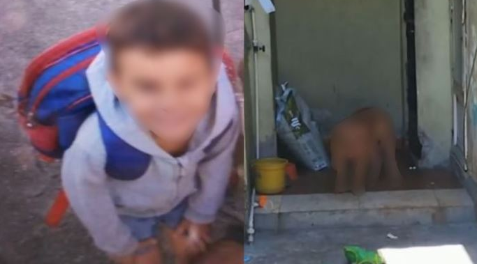 Pitbull ataca e mata menino de 4 anos dentro de casa