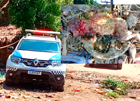 Bebê é encontrado morto após porco comer parte da cabeça no interior do Piauí