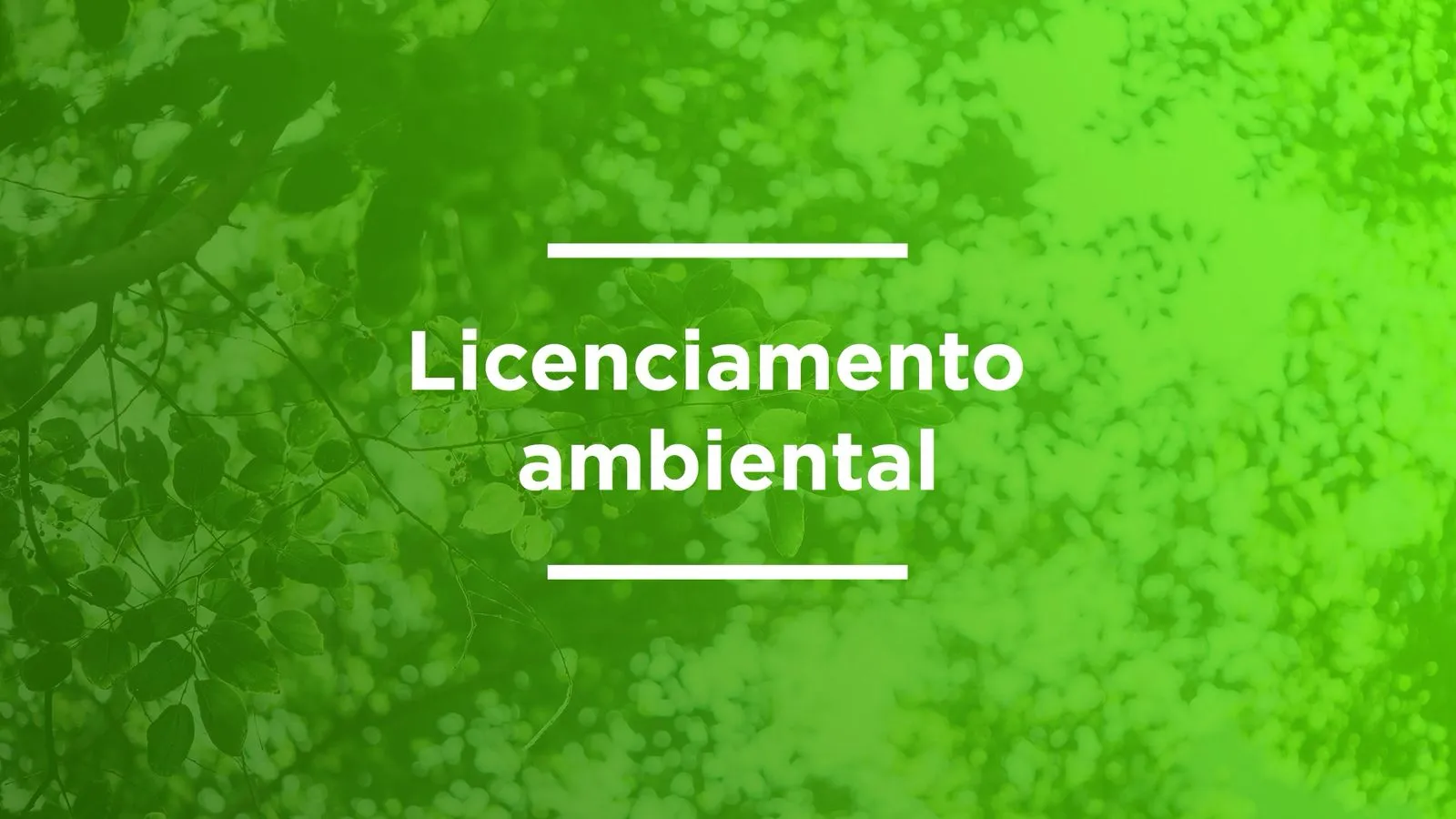Licença Ambiental Prévia, Instalação e de Operação (LP, LI, LO ou LAS)