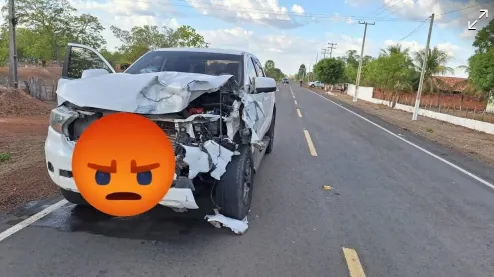Colisão entre caminhonete e animal causa acidente na PI-113