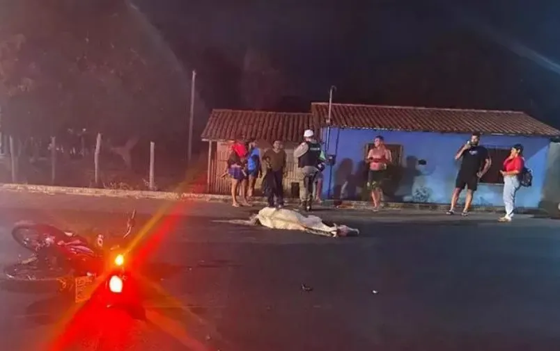 Piauí registra três acidentes com animais soltos na pista em uma única noite