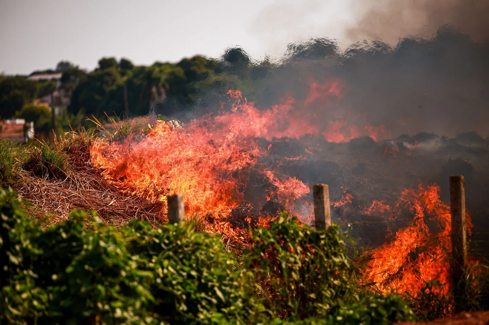 Piauí registrou mais de 11 mil focos de incêndio em 2025
