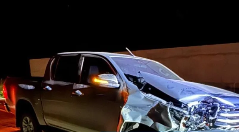 Animal na pista causa acidente envolvendo Hilux