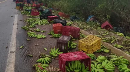 Caminhão carregado de bananas capota entre Piripiri e Capitão de Campos