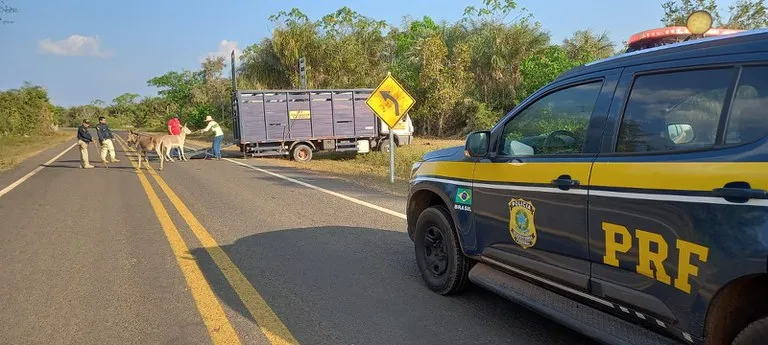 PRF encerra a Operação Armentum – Fase 1 no Piauí