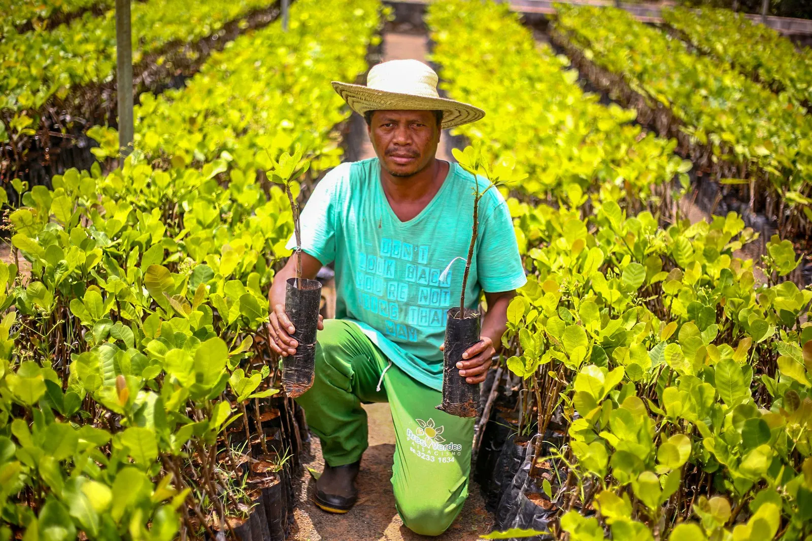 Plano Safra: agricultores do Piauí acessam R$ 1,8 bilhão em crédito