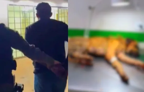 Homem é preso no Piauí após espancar cachorro a pauladas