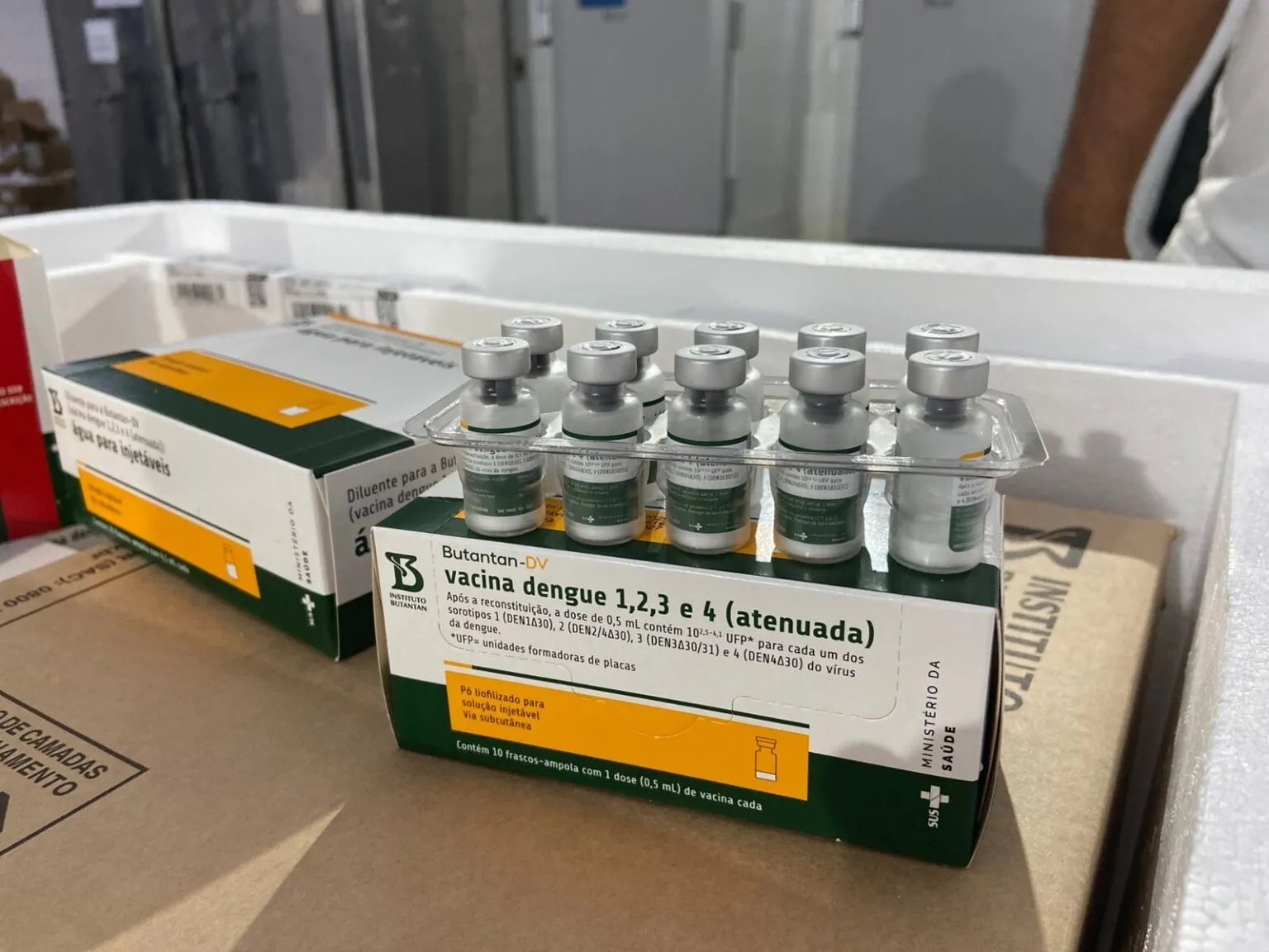 Piauí recebe primeiro lote da vacina contra a dengue