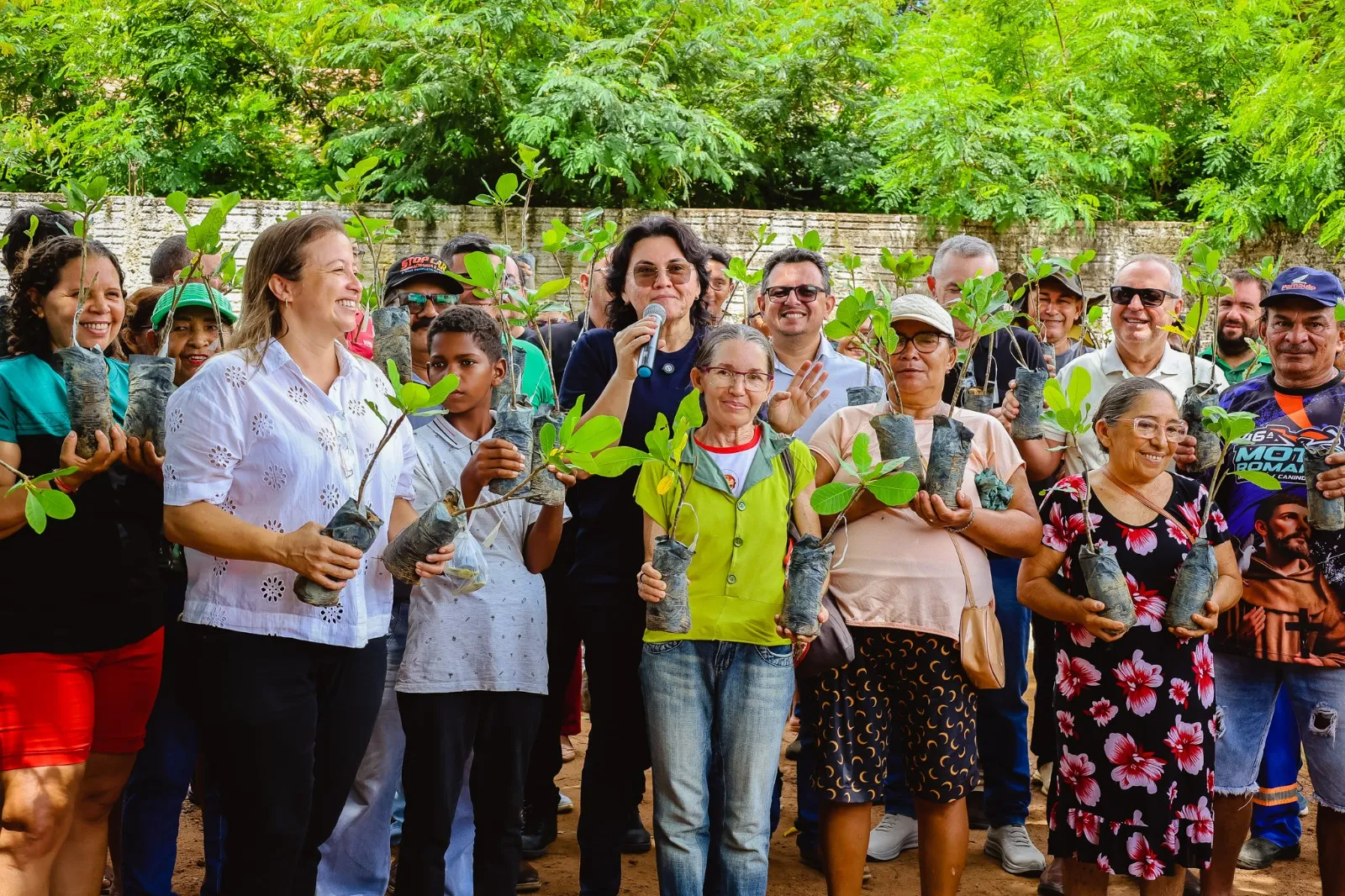 Prefeitura de Piripiri realiza entrega de mudas de caju para a comunidade