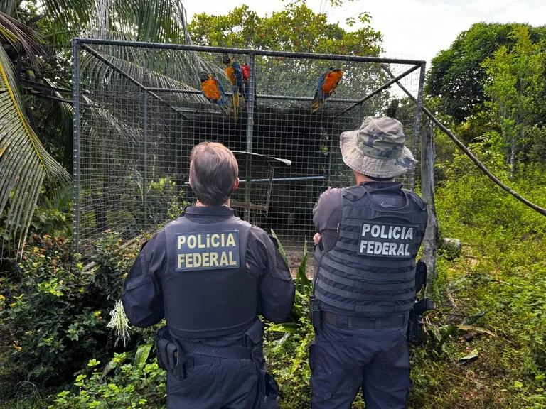 PF cumpre mandados contra tráfico de animais no Piauí
