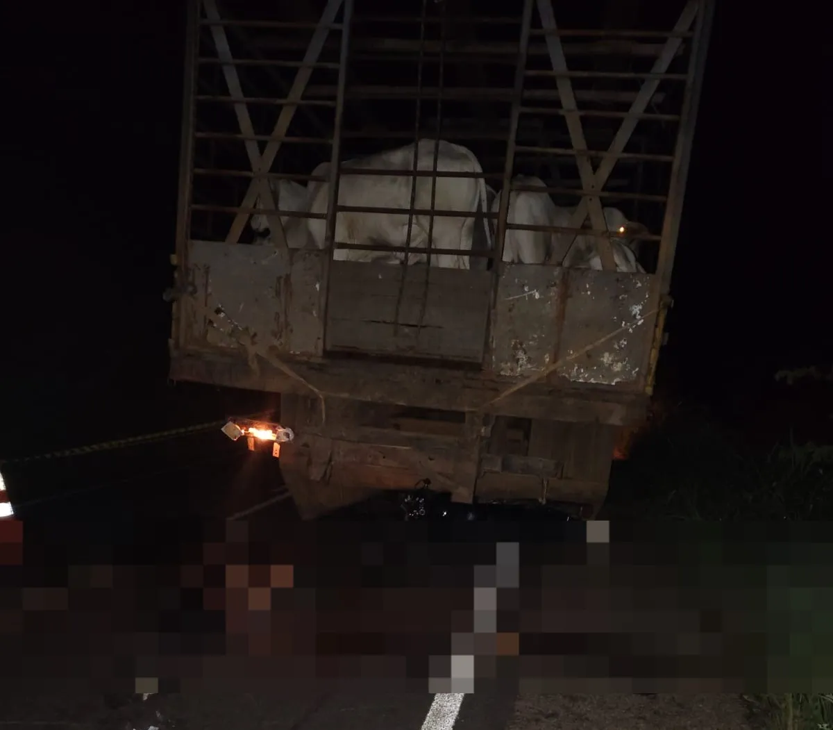 Irmãos morrem em colisão com caminhão de gado no Piauí