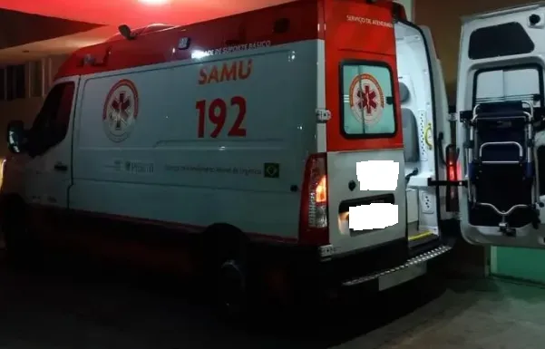 Motociclista fica ferido após colisão com animal na PI-211
