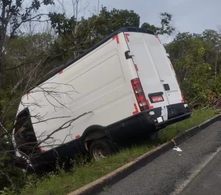 Animal na pista provoca acidente na zona rural de Barras