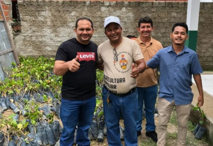 Prefeitura Boa Hora distribui mudas de caju para fortalecer agricultura
