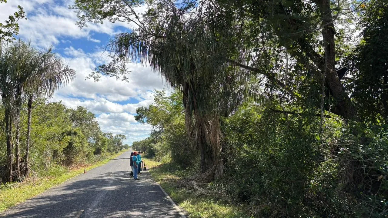 Prefeitura de Piracuruca melhora acesso ao Parque de Sete Cidades com poda