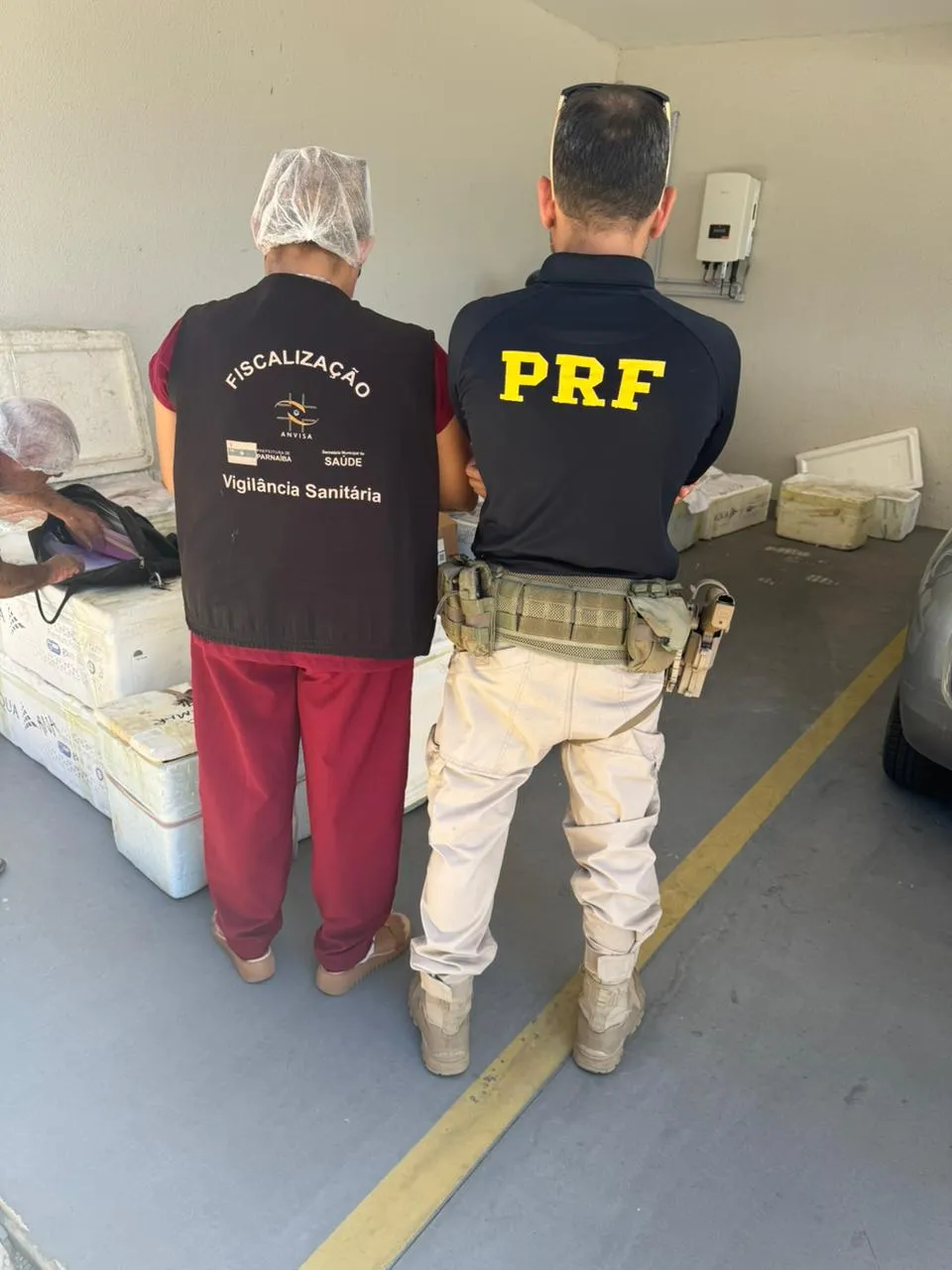 PRF apreende 650 kg de queijo e pescado transportados sem documentação na BR-343