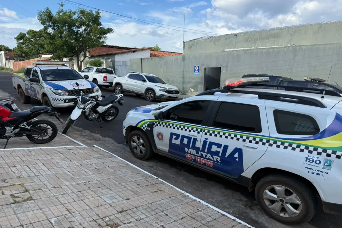 Polícia prende suspeito de esfaquear jovem em Pedro II