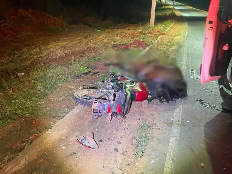 Motociclista sem capacete morre ao colidir com cavalo na PI-144