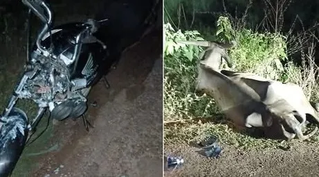 Motociclista sofre acidente ao bater em vaca na pista