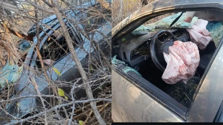 Motorista fica ferido após colidir com cavalos soltos na pista