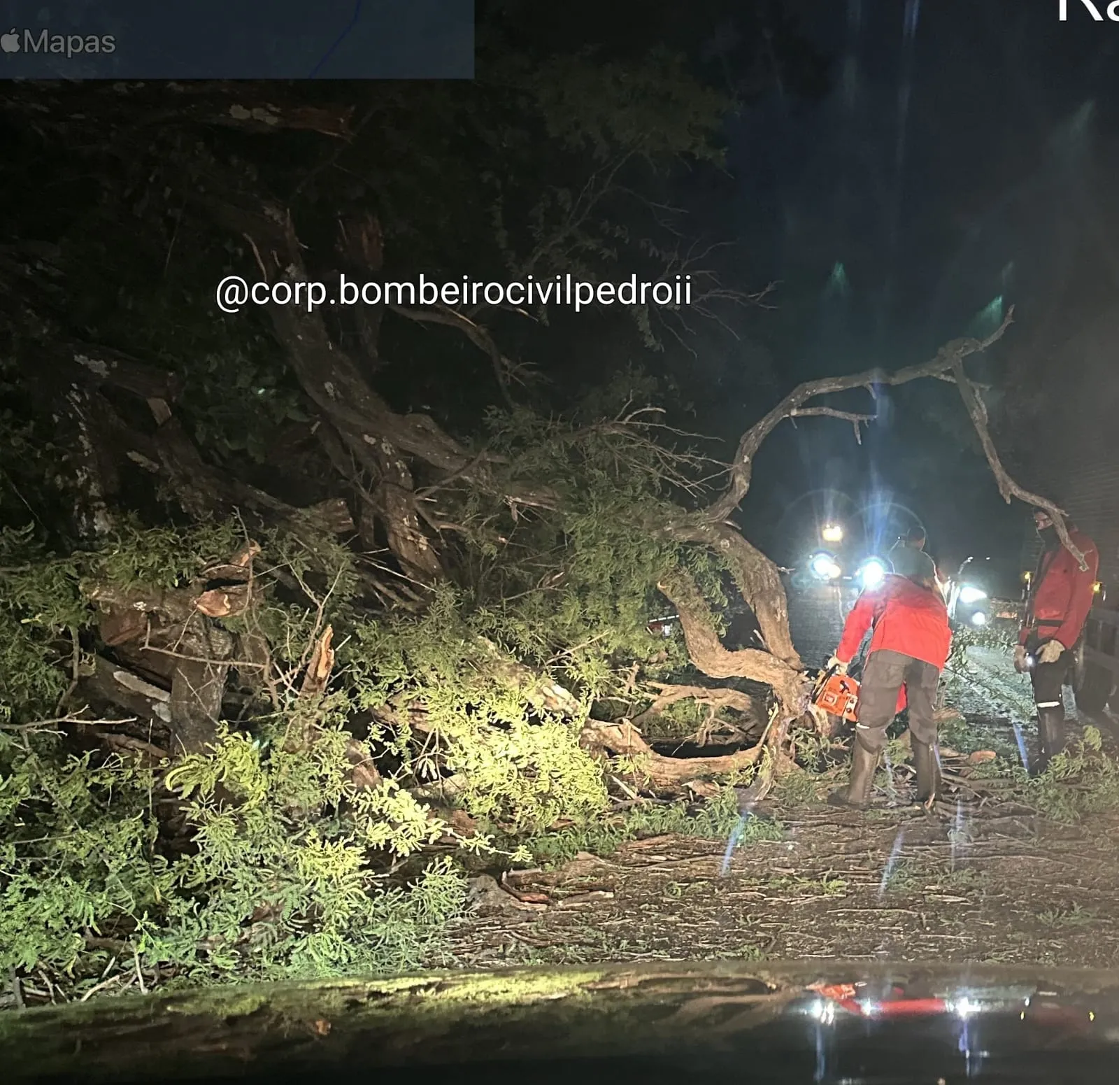 Bombeiros Civis e Defesa Civil realizam poda de árvore com risco de acidente 