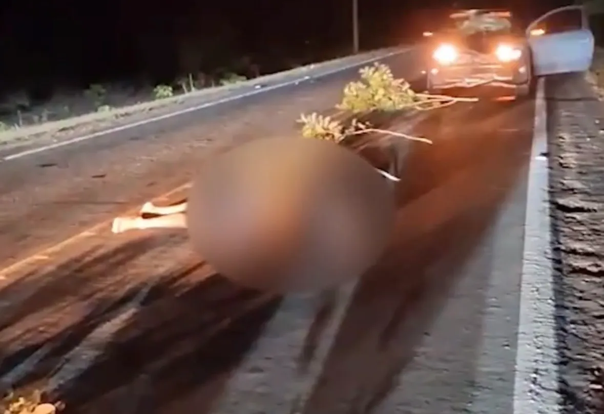 Homem em bicicleta morre após ser atropelado por carro na BR-222