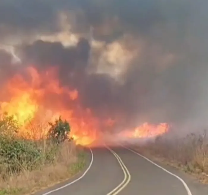 Incêndio atinge vegetação às margens de rodovia de acesso ao Açude Caldeirão